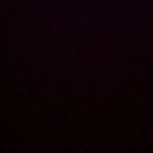 Meet your Posher, Daniela